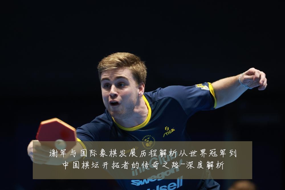 谢军与国际象棋发展历程解析从世界冠军到中国棋坛开拓者的传奇之路-深度解析